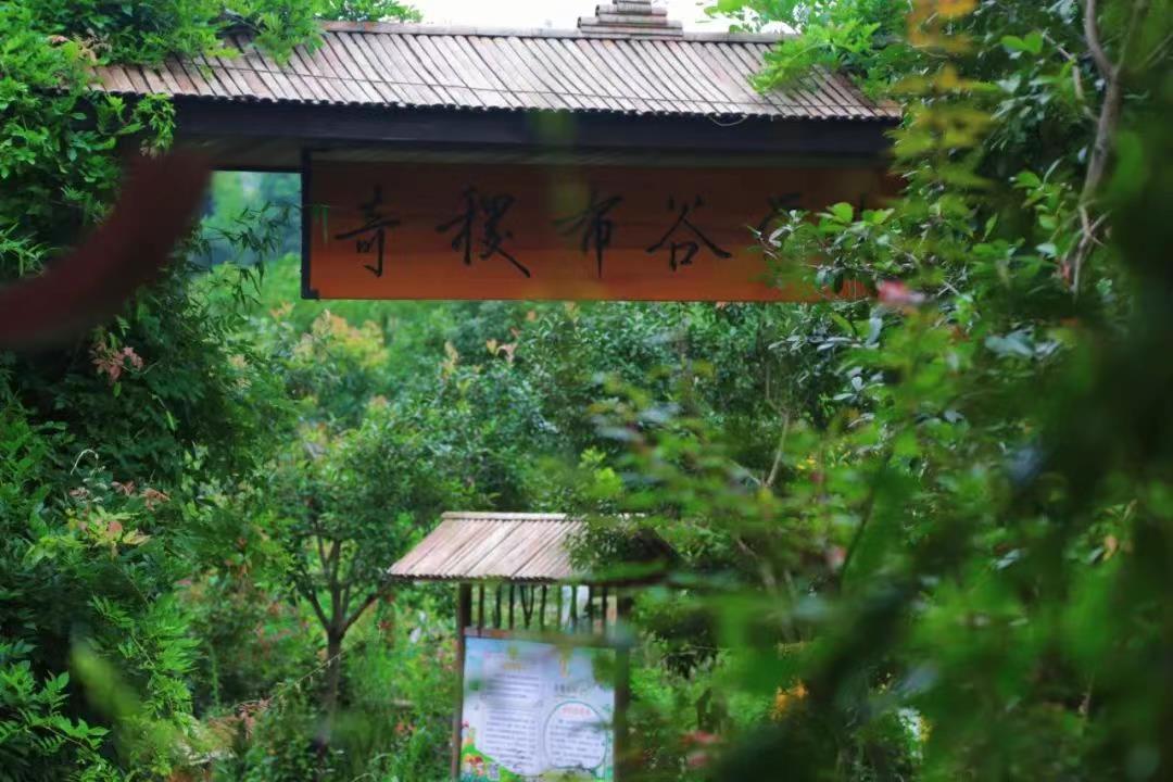 DƬ